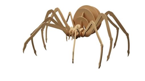 عنکبوت سه بعدی مدل TH_92596 77